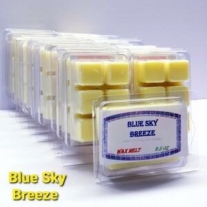 BLUE SKY BREEZE -Bath & Body Works Candle Wax Melts- $8 per pack